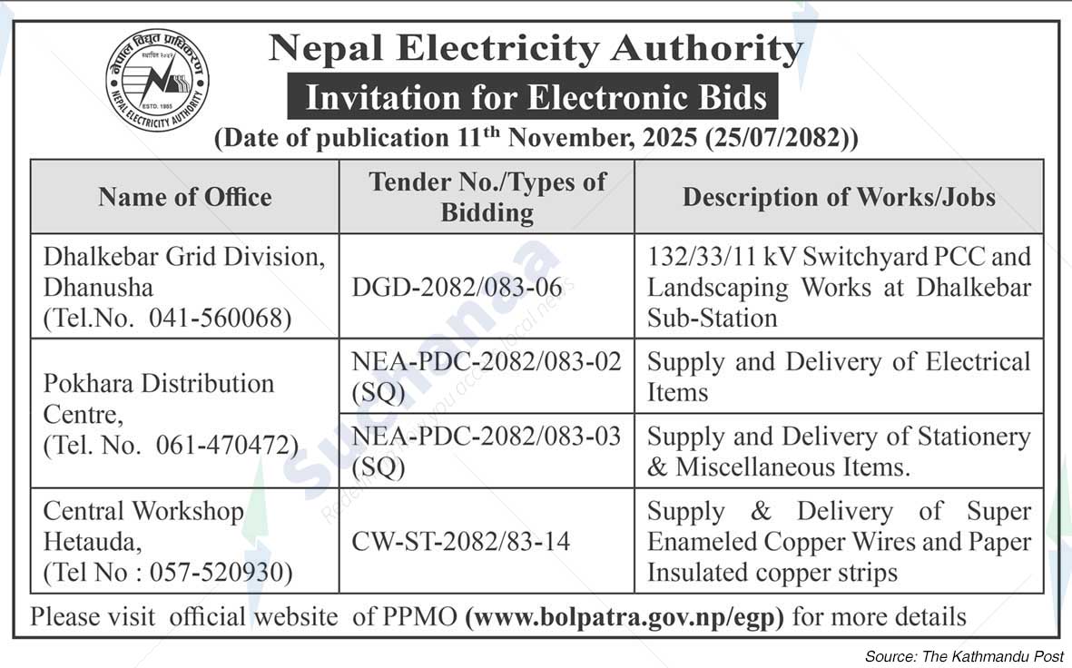 Nepal Electricity Authority