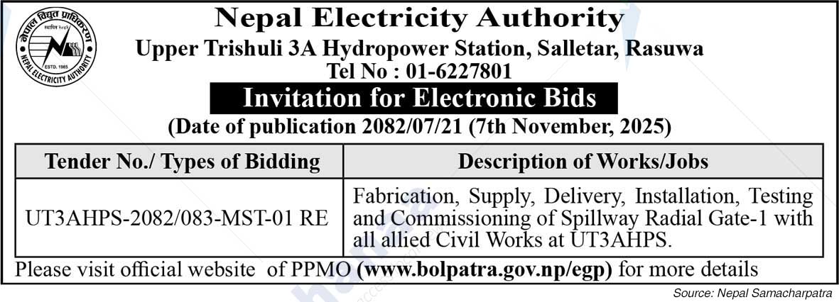 Nepal Electricity Authority