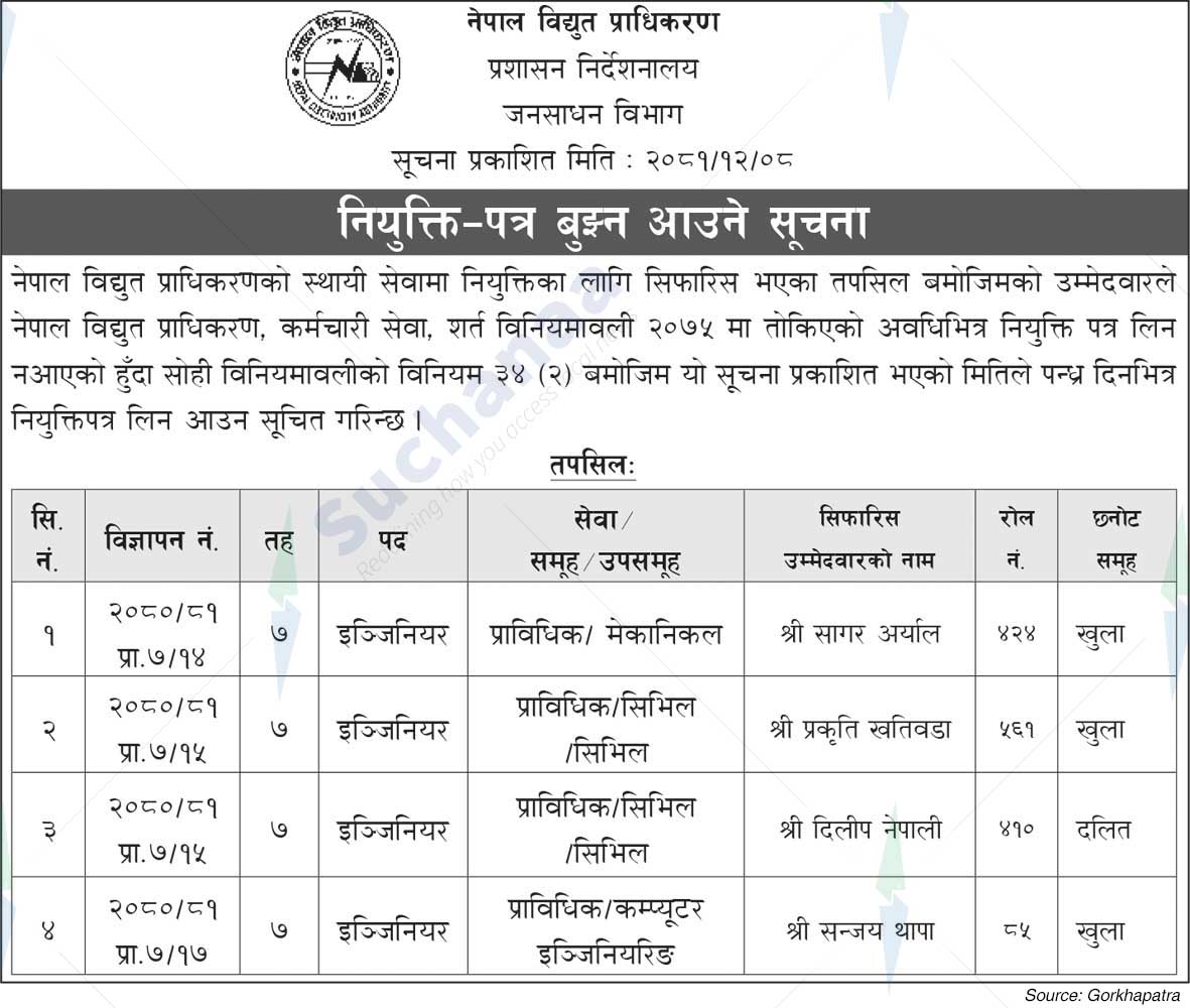 Nepal Electricity Authority