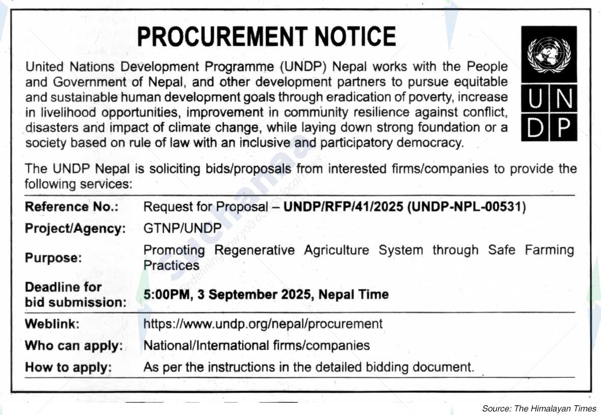 United Nations Development Programme (UNDP)