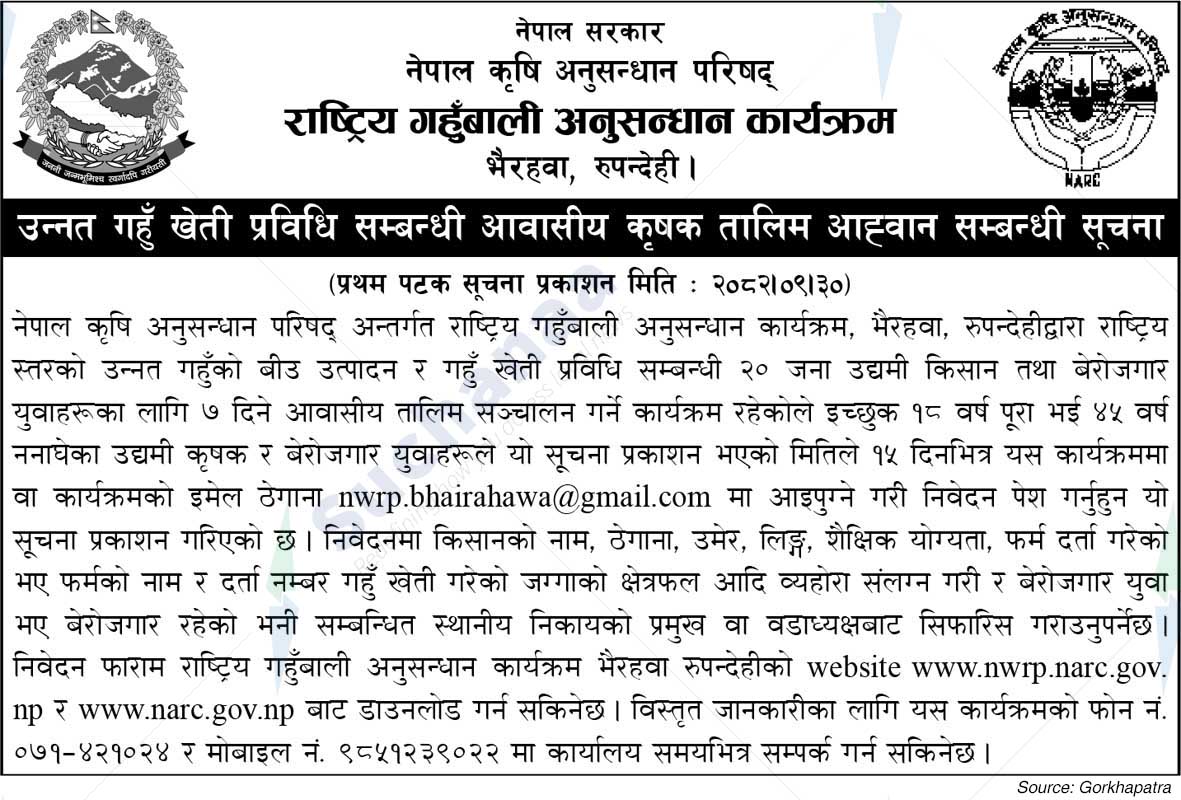 National Wheat Research Program, Rupandehi