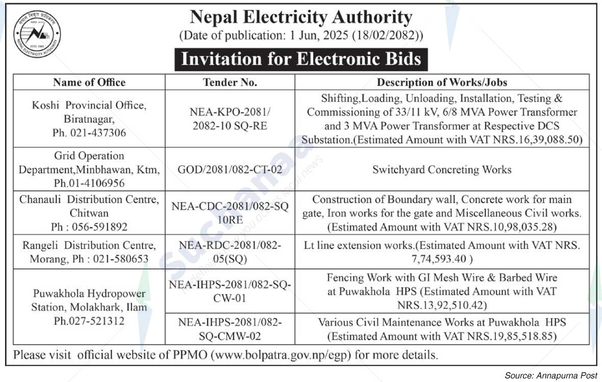 Nepal Electricity Authority