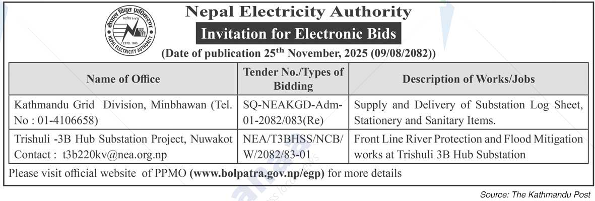 Nepal Electricity Authority