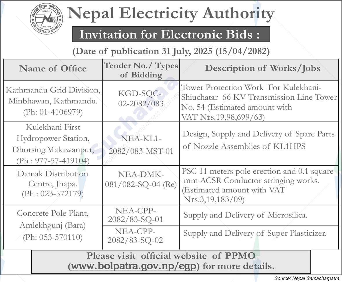 Nepal Electricity Authority