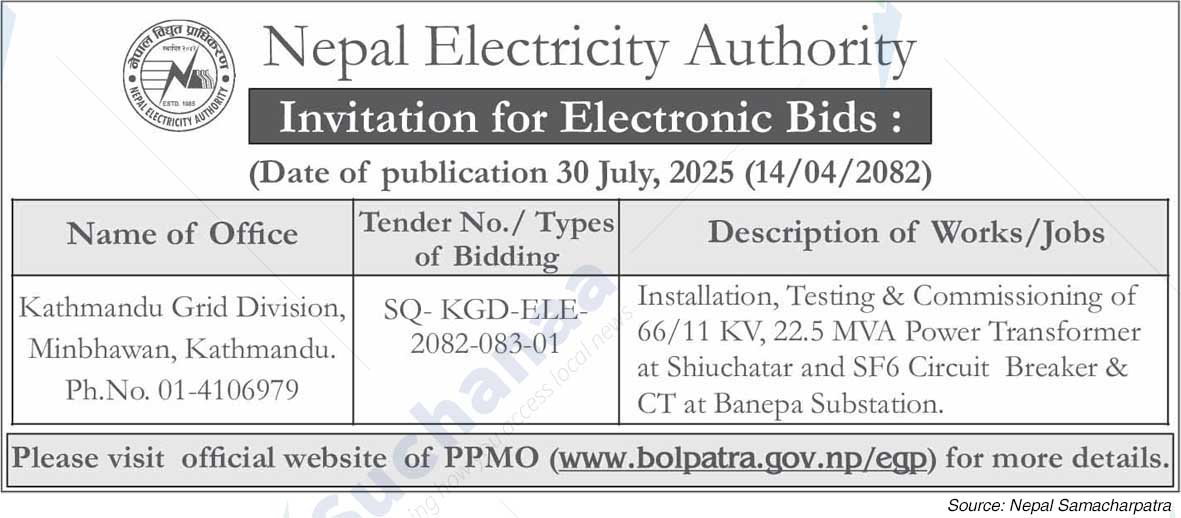 Nepal Electricity Authority