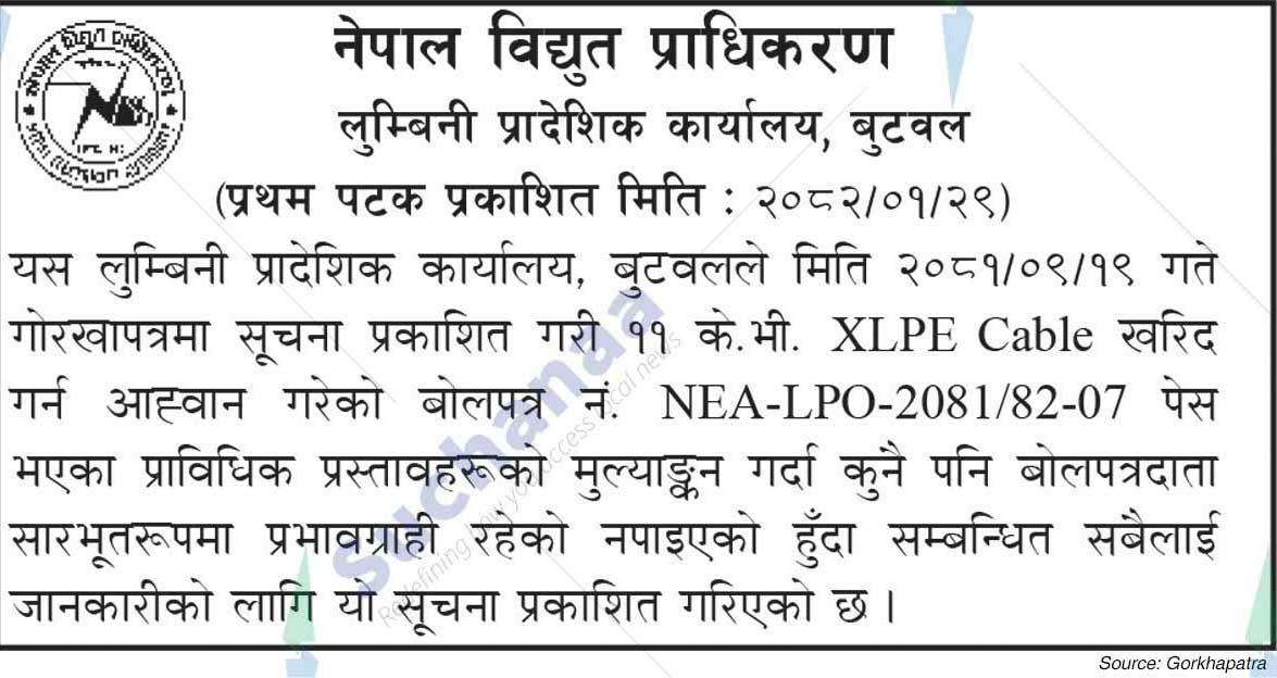 Nepal Electricity Authority