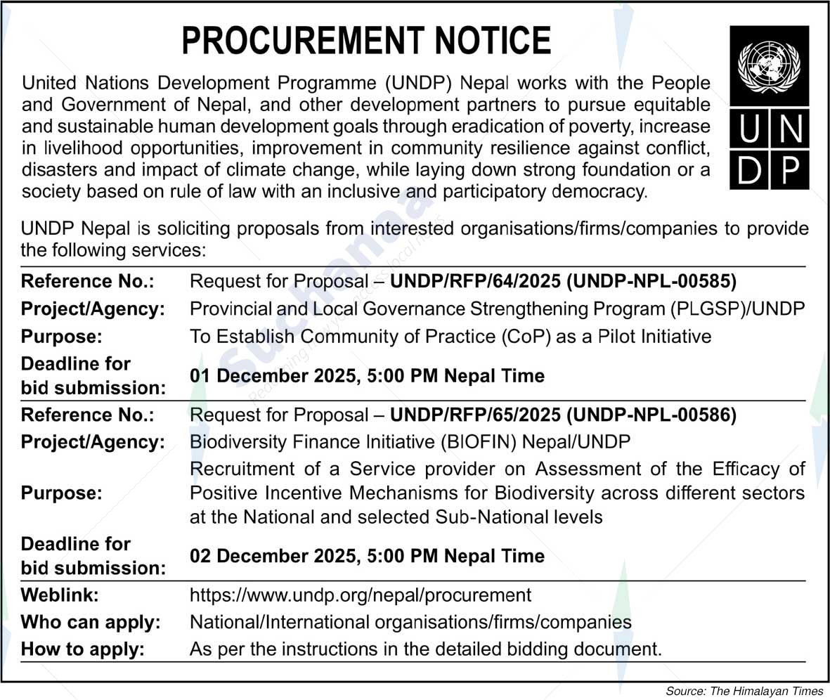United Nations Development Programme (UNDP)