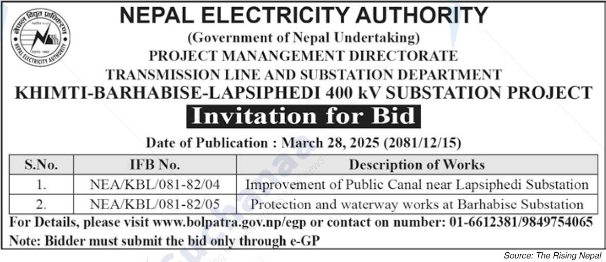 Nepal Electricity Authority