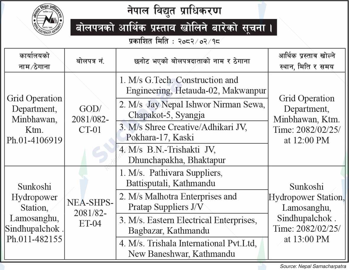 Nepal Electricity Authority
