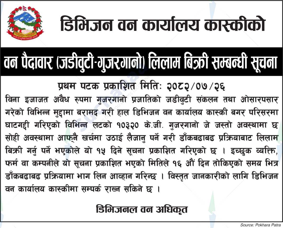 Division Forest Office, Kaski