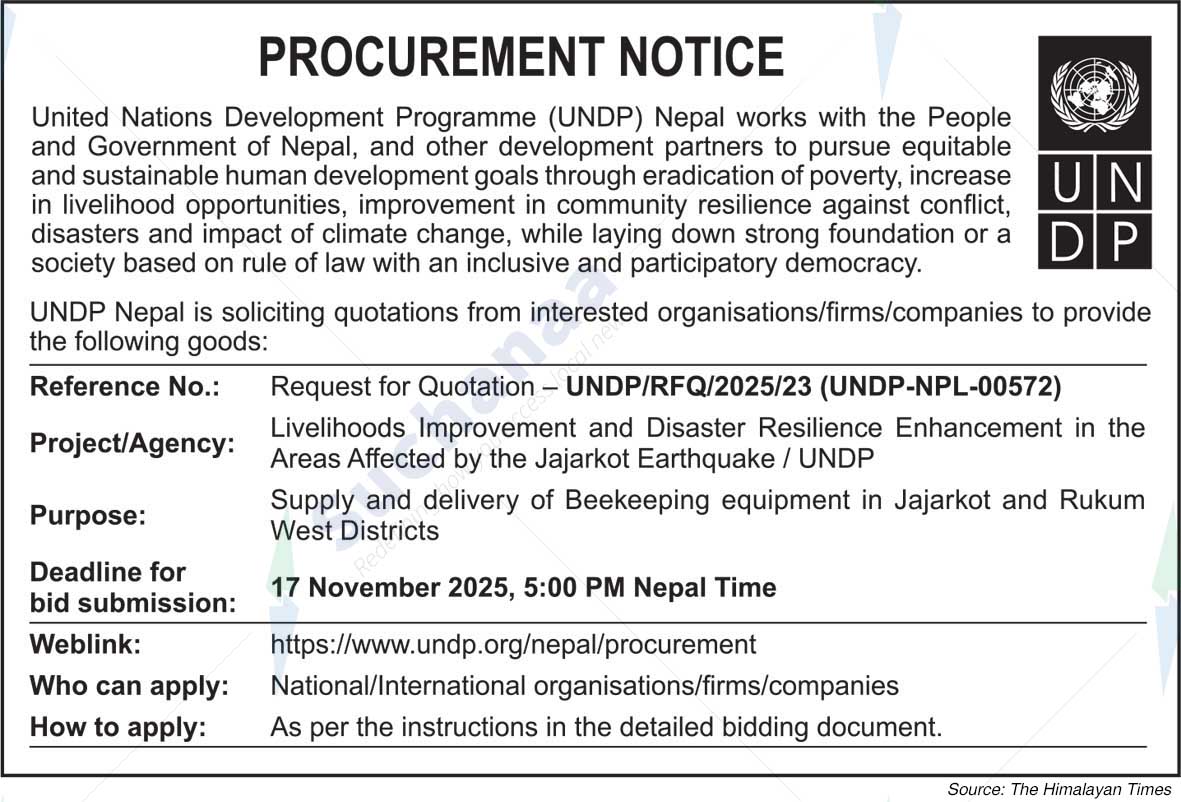 United Nations Development Programme (UNDP)