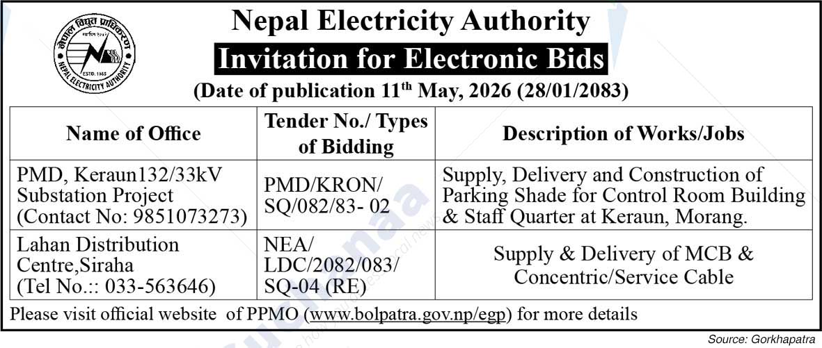 Nepal Electricity Authority