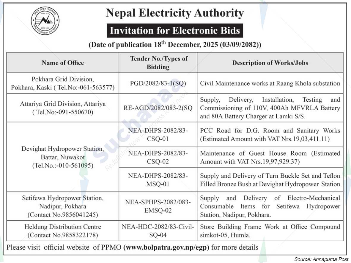 Nepal Electricity Authority