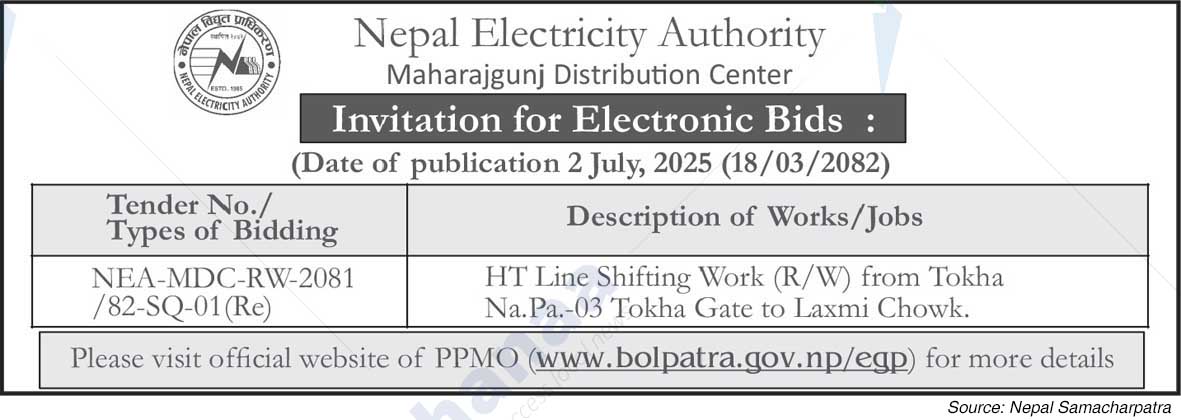 Nepal Electricity Authority