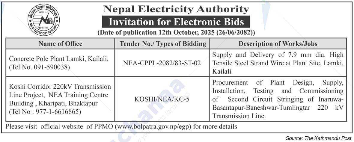Nepal Electricity Authority
