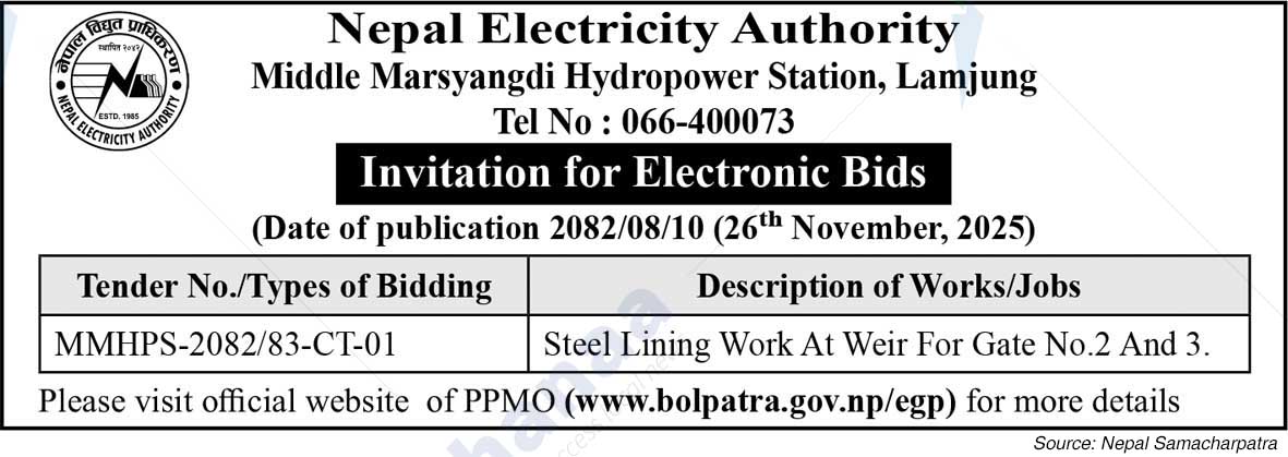 Nepal Electricity Authority