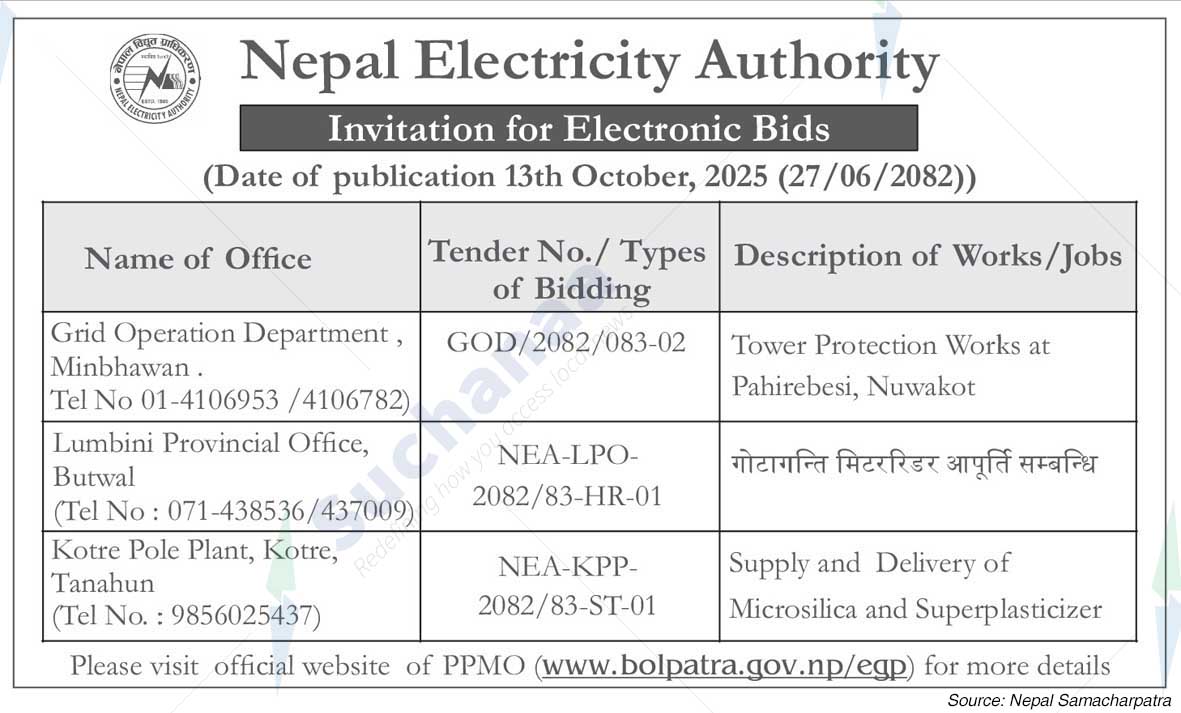Nepal Electricity Authority