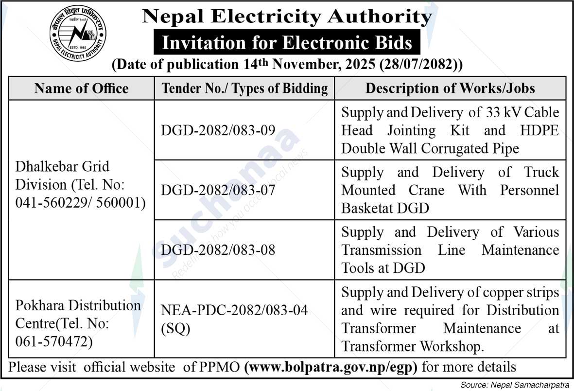 Nepal Electricity Authority