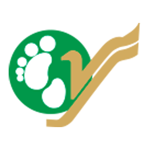 Yeti Airlines