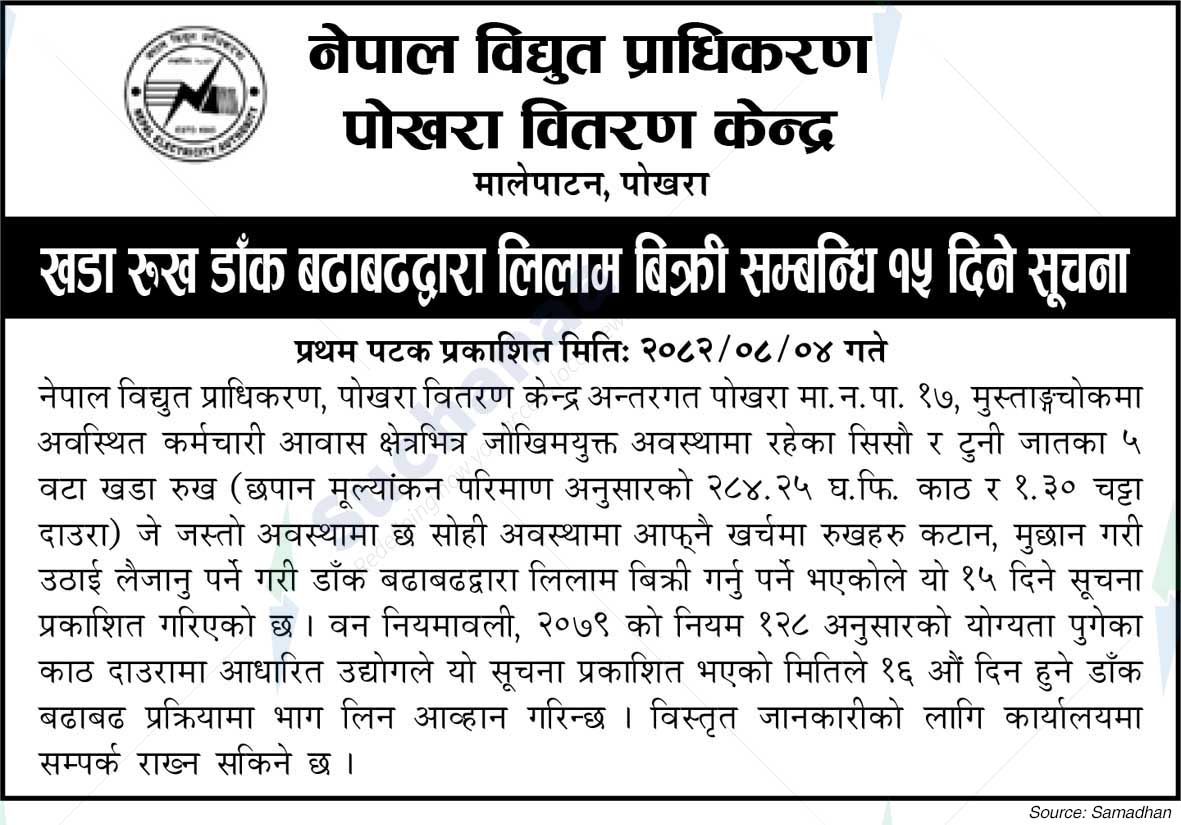 Nepal Electricity Authority