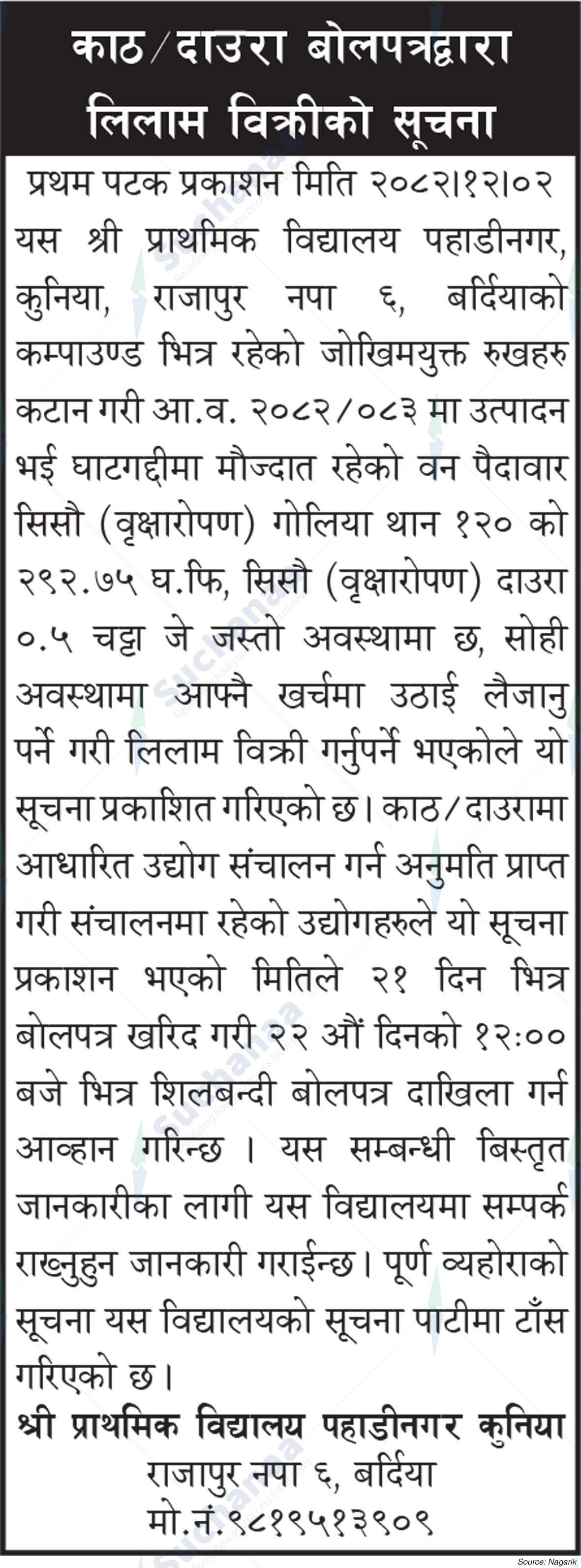 Shree Primary School Pahadinagar Kunia, Rajapur, Bardiya