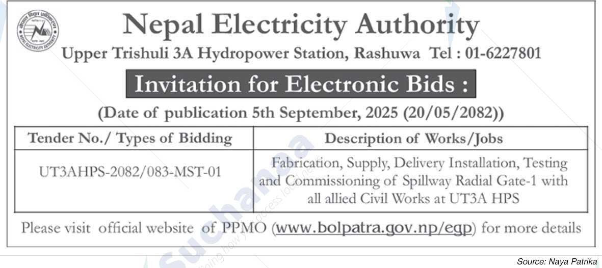 Nepal Electricity Authority
