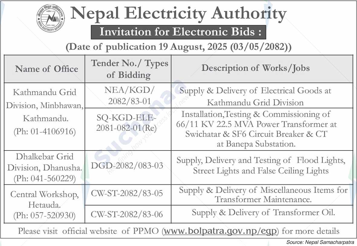 Nepal Electricity Authority