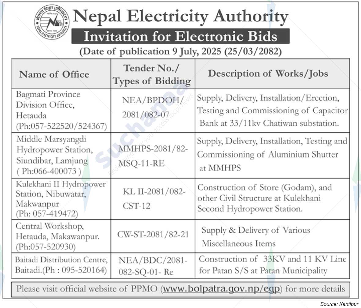 Nepal Electricity Authority