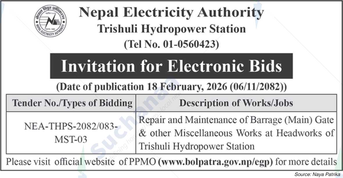 Nepal Electricity Authority