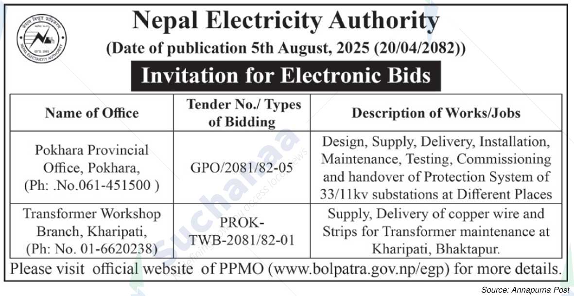 Nepal Electricity Authority