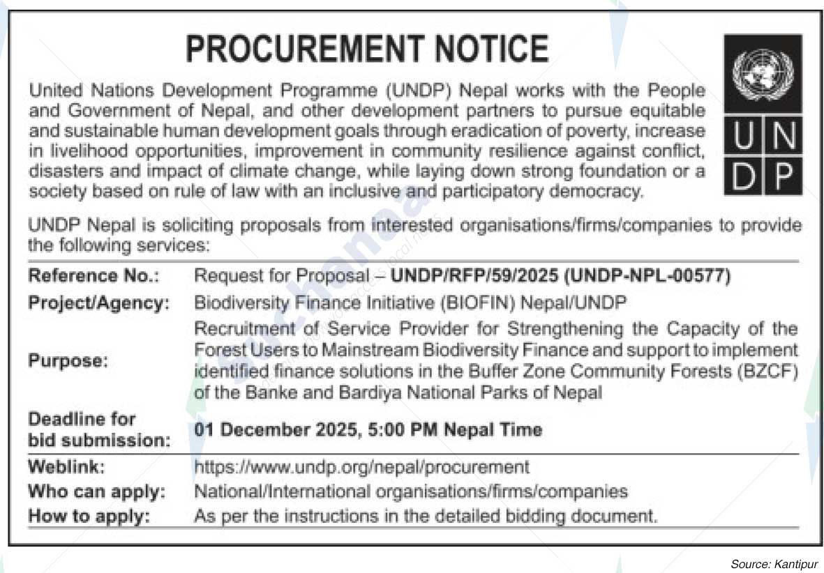 United Nations Development Programme (UNDP)