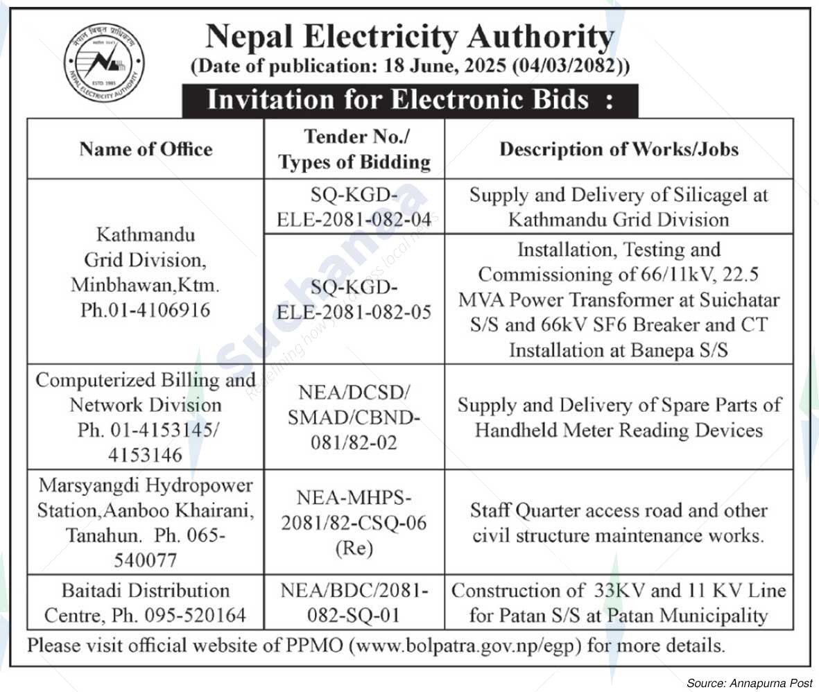 Nepal Electricity Authority