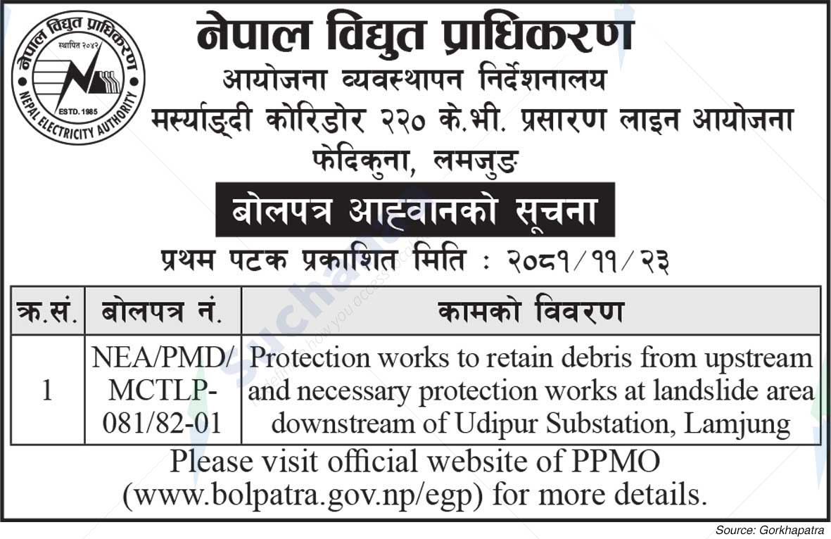 Nepal Electricity Authority