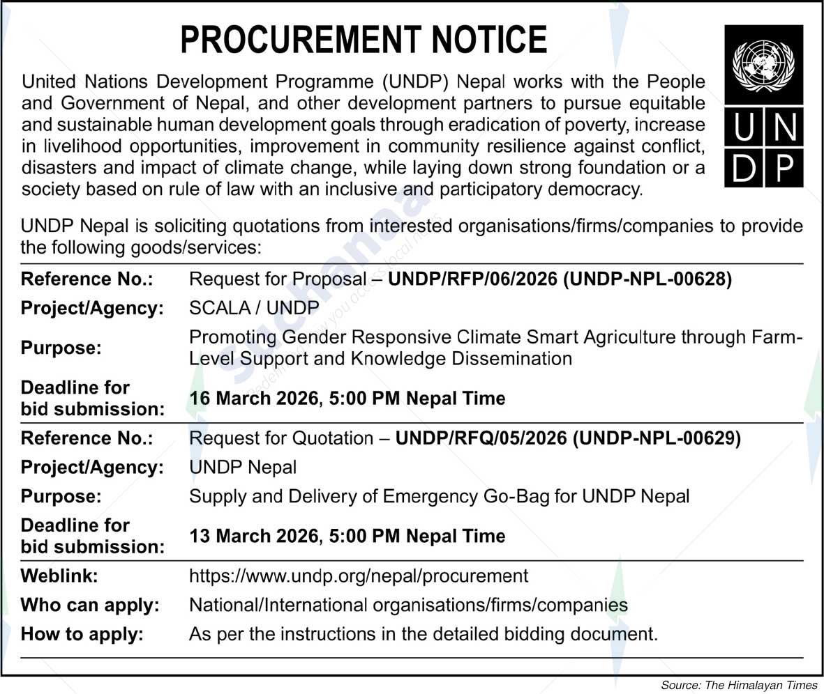 United Nations Development Programme (UNDP)
