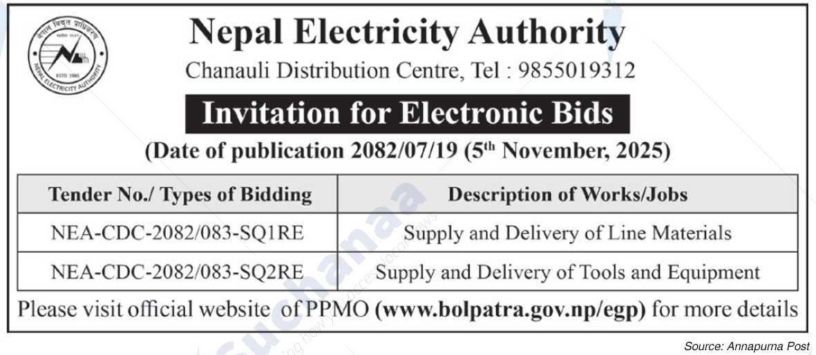 Nepal Electricity Authority